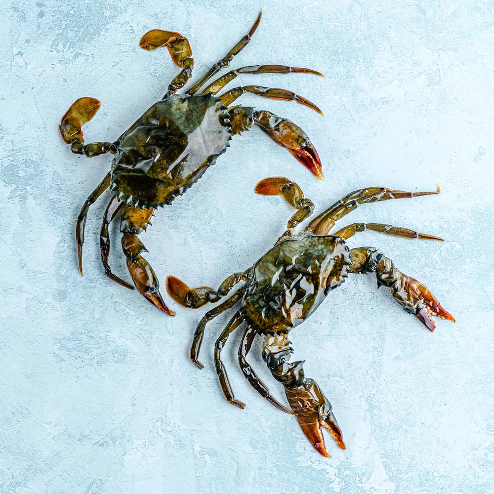 Soft Shell Crabs